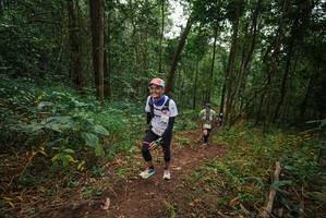 BIB: 
                            <button type="button" onclick="openModal(22468339)" class="btn btn-primary btn-sm float-right btn-popup" data-toggle="modal" data-target=".modal-high-quality">
                        <i class="fas fa-shopping-cart"></i> Add to Cart
                    </button>
                                            <button type="button" onclick="isThisMe(22468339, true)" class="btn btn-success btn-sm float-right btn-popup btn-isme hidden" data-toggle="tooltip" data-placement="bottom" title="นี่คือรูปของคุณใช่ไหม คลิกที่นี่เพื่อเอาเข้าอัลบั้ม">
                        <i class="fas fa-plus"></i> Add to album
                    </button>
                    <button type="button" onclick="isThisMe(22468339, false)" class="btn btn-warning btn-sm float-right btn-popup btn-isnotme hidden">
                        <i class="fas fa-ban"></i> Remove from album
                    </button>